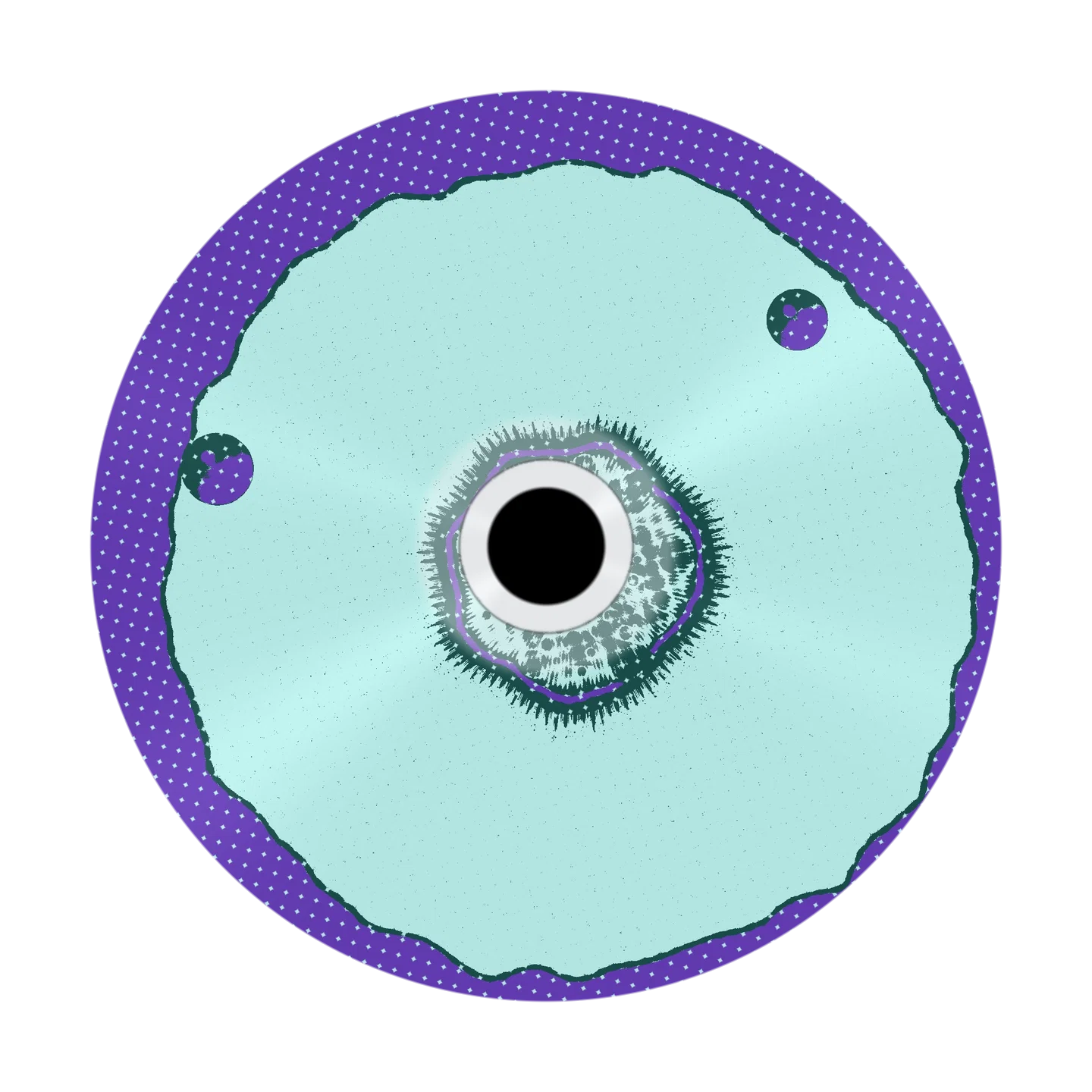 2LUCKY cover