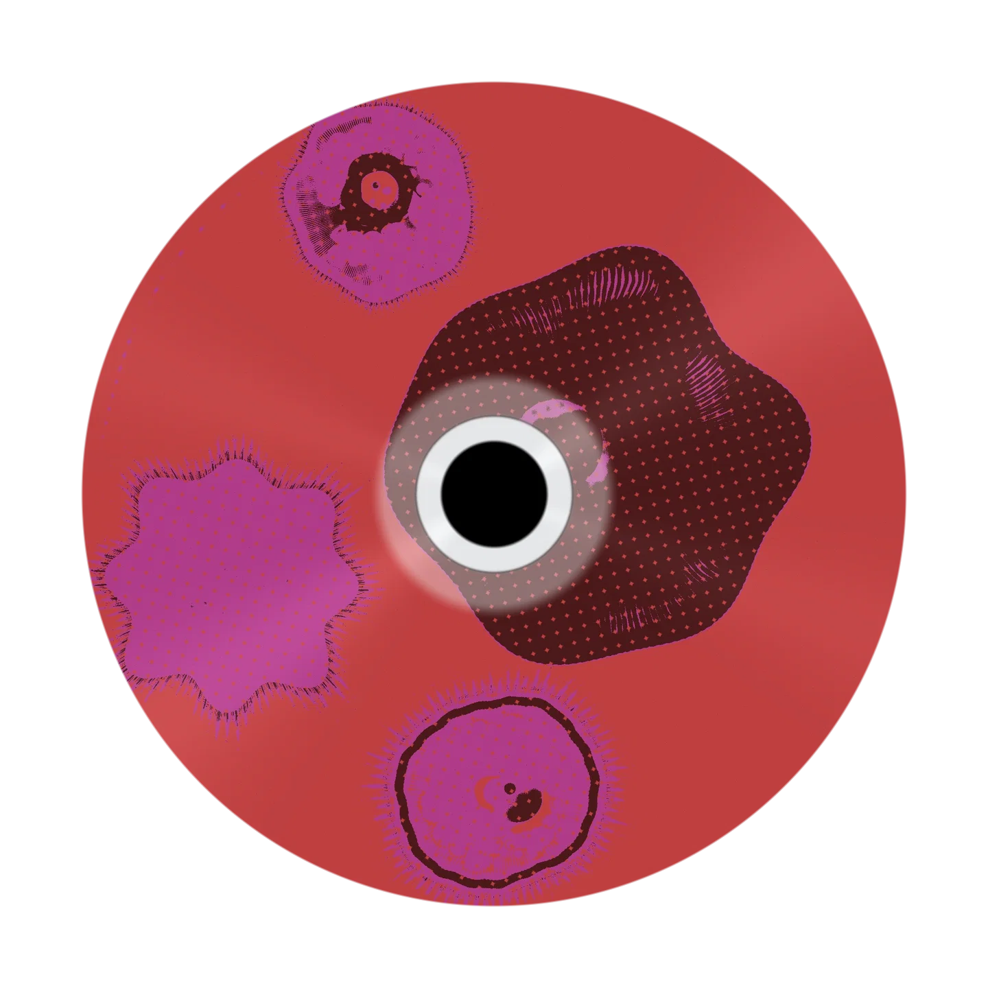 LOCATION cover
