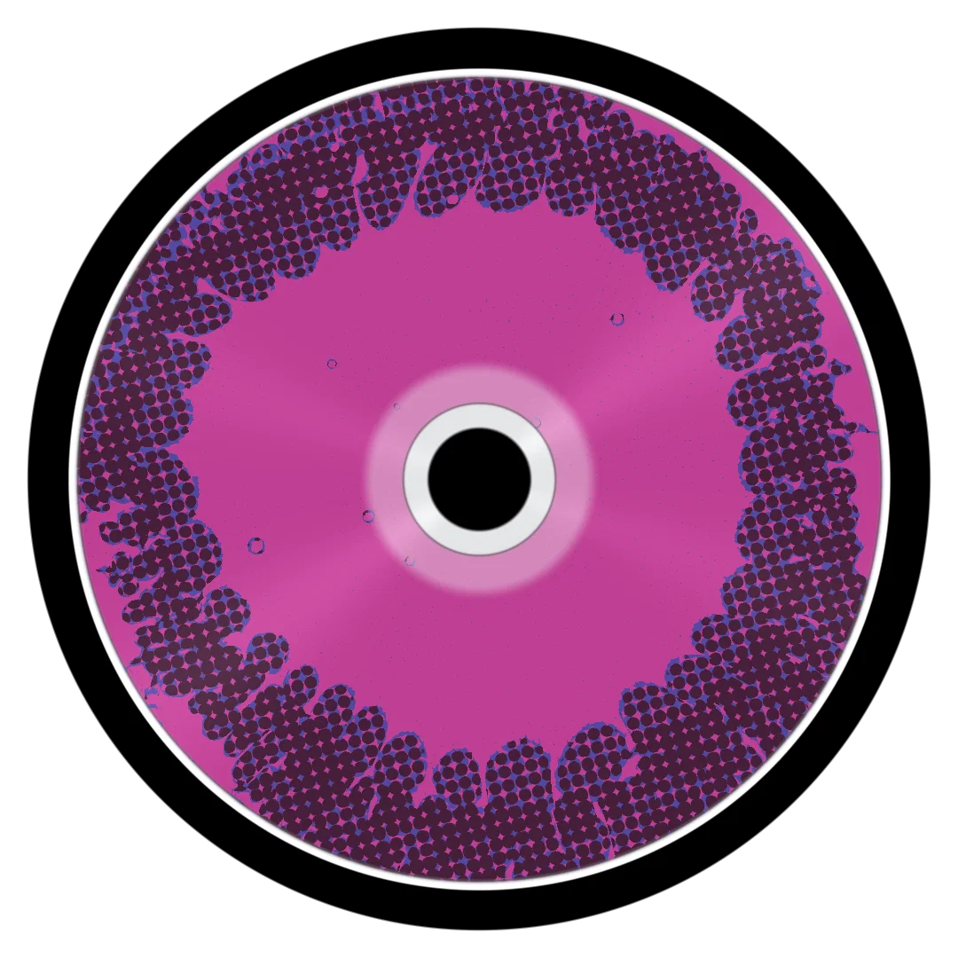 LASHED cover