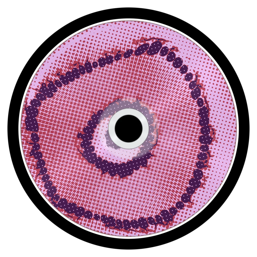 COBBLESTONE cover