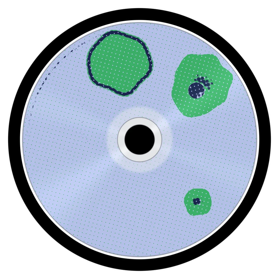 HUMMINGBIRD cover