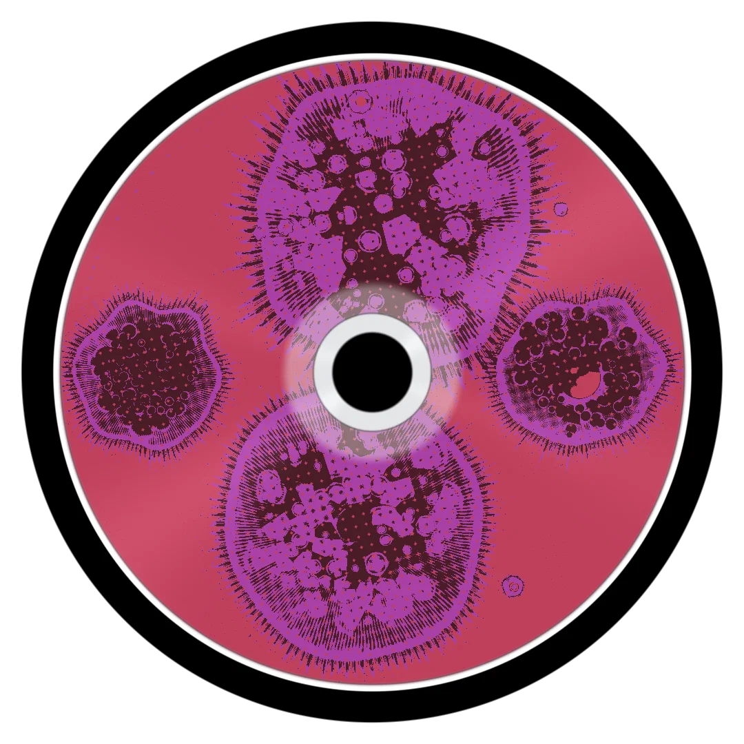 CROSSFIRE cover