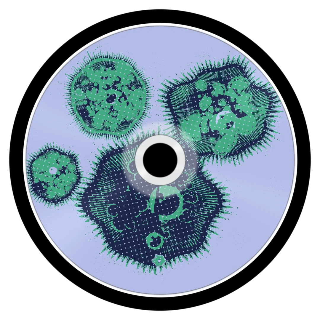 AMBIEN cover