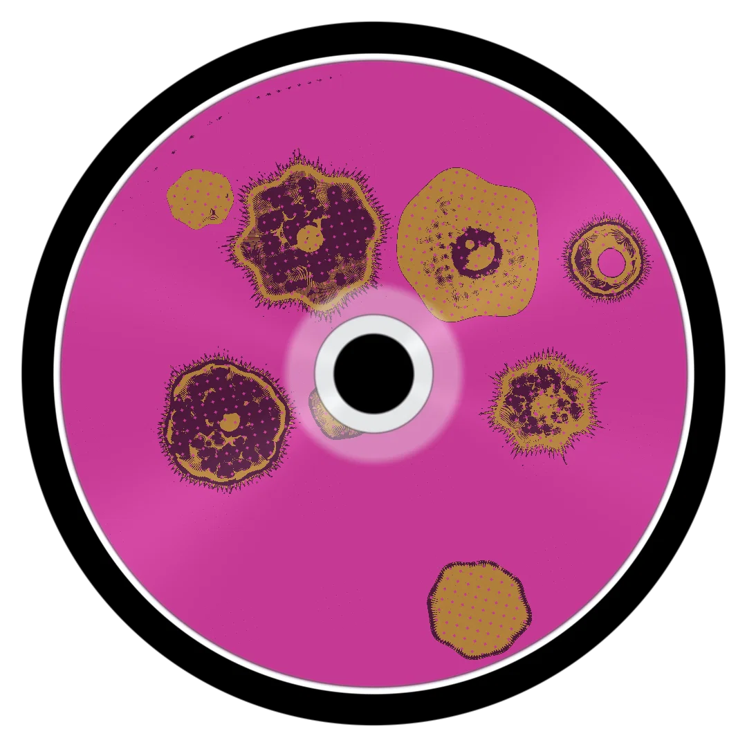 ATRIUM cover