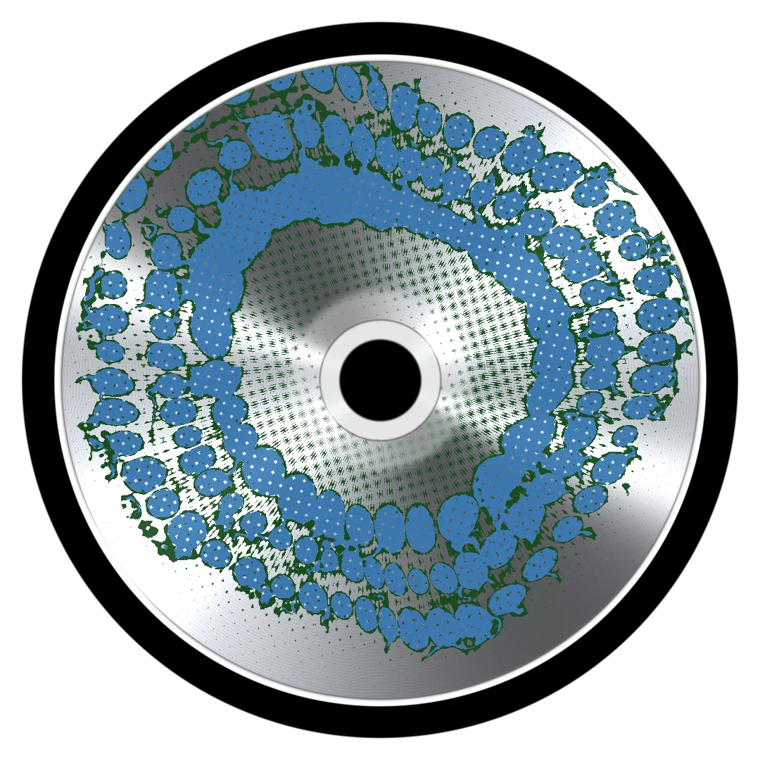 BERGDORF cover