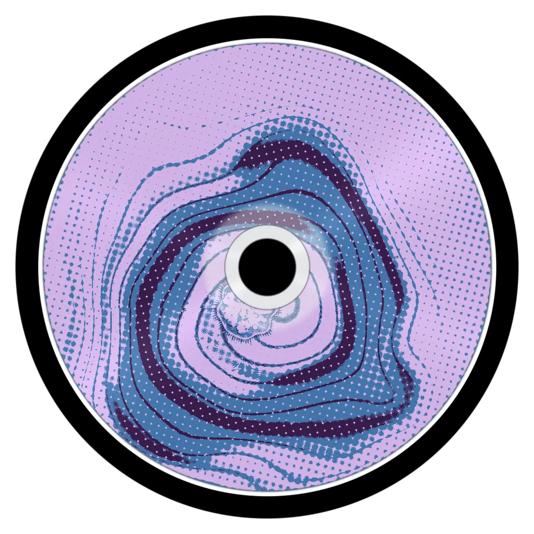 FLY cover