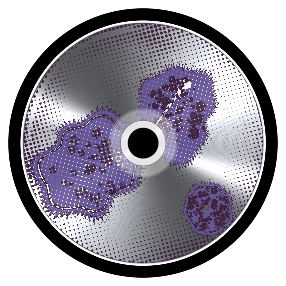AMAZING cover