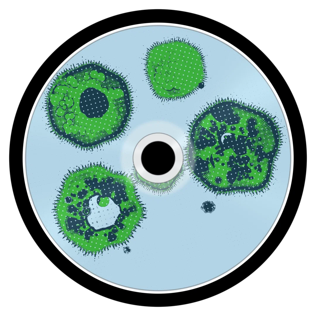 RICHER cover