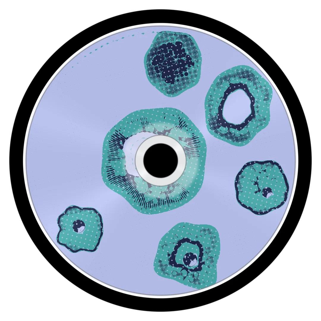 SONAR cover