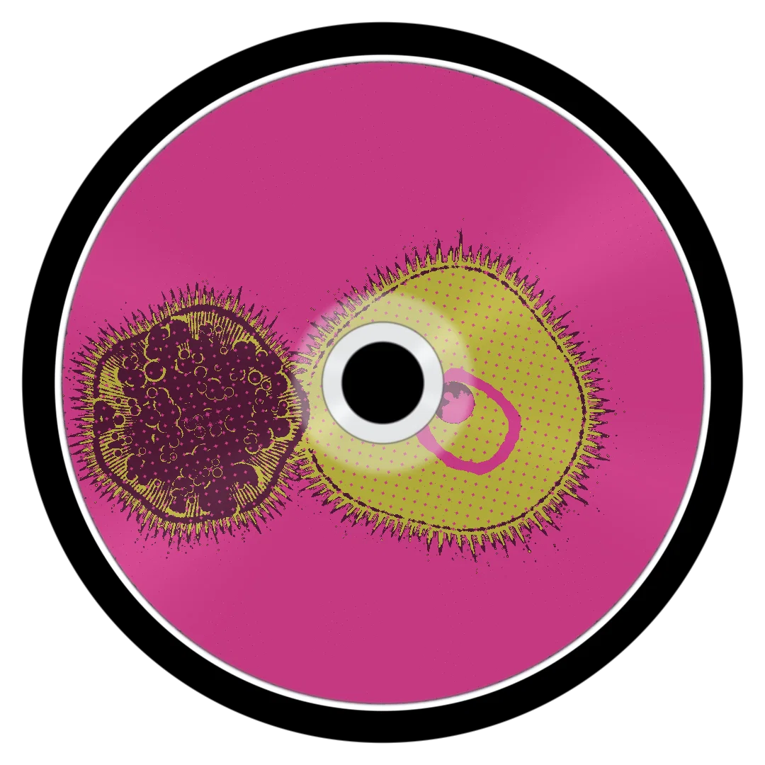 THE ONE cover