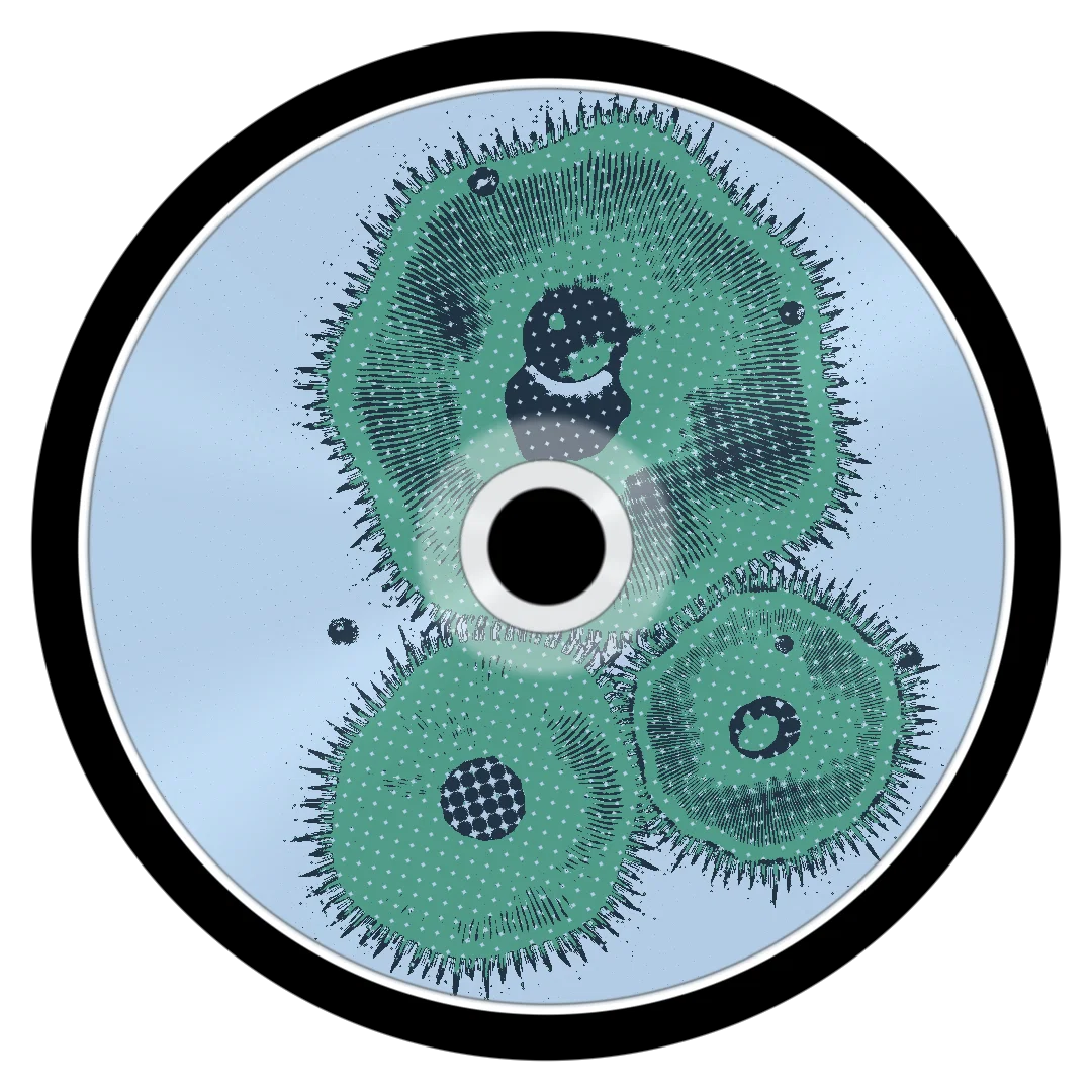 DISCONNECT cover