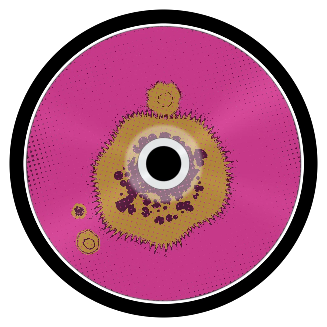 DONUTS cover