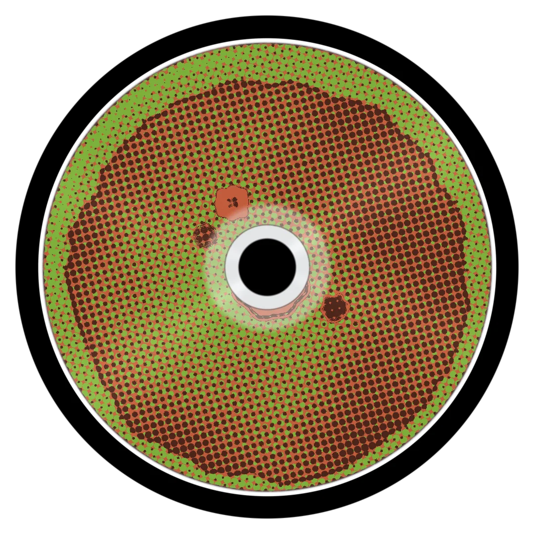 GROVE cover