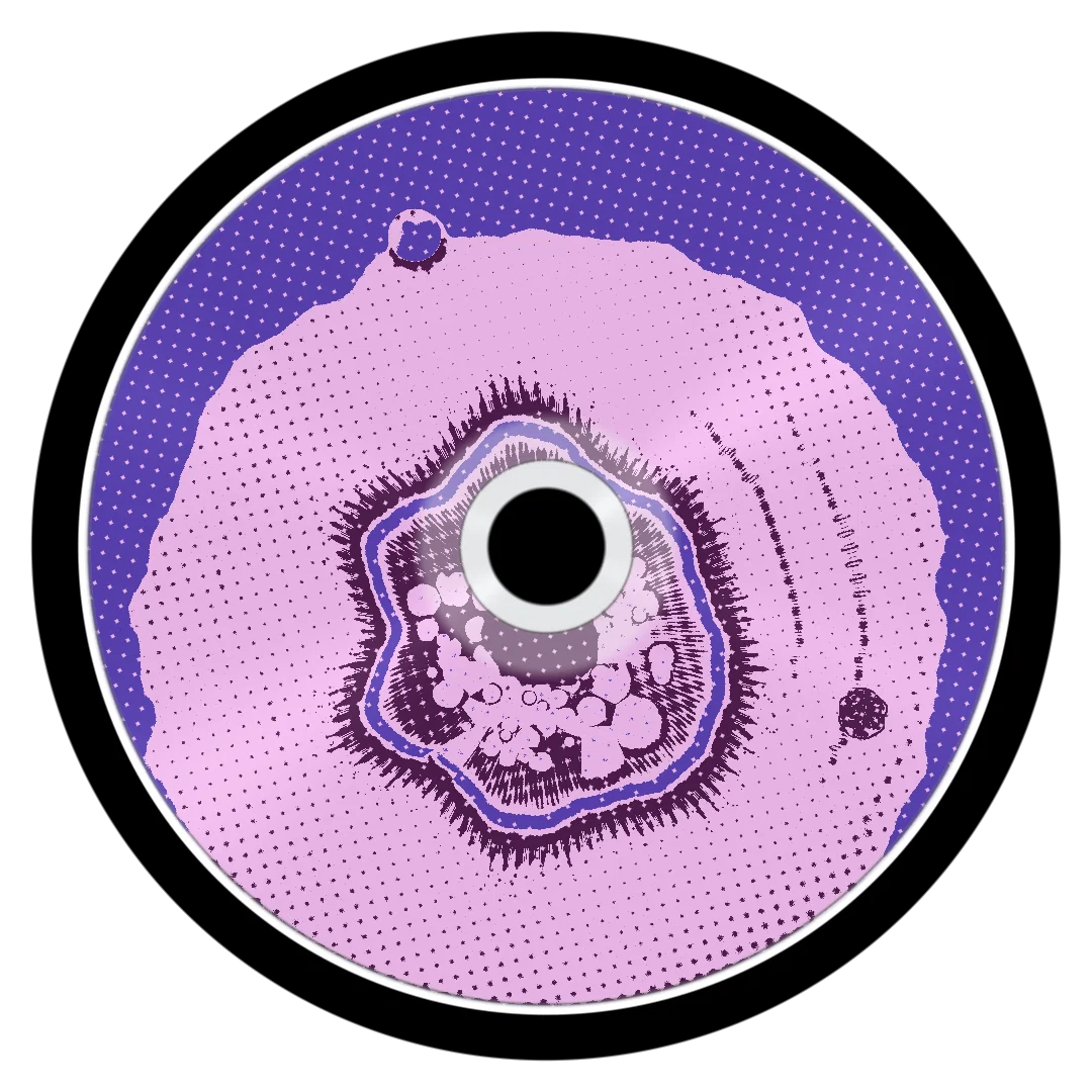 12HRS cover