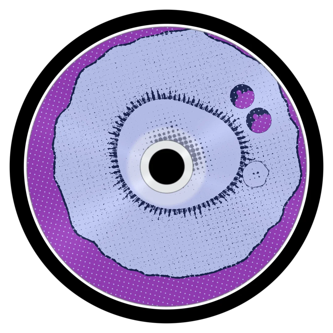 ALAKALINE2000 cover