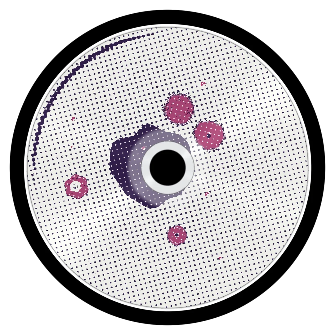ALDI cover