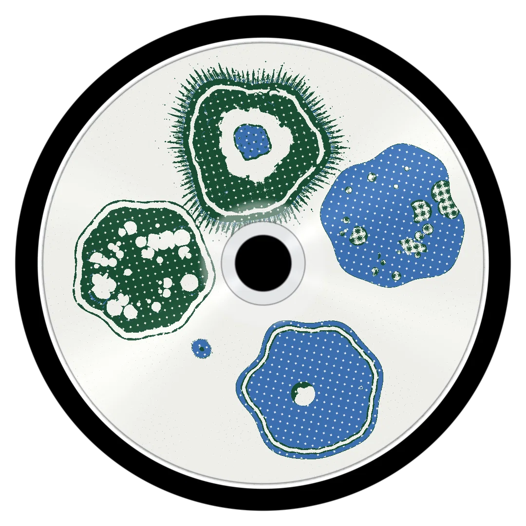 ALIUM cover