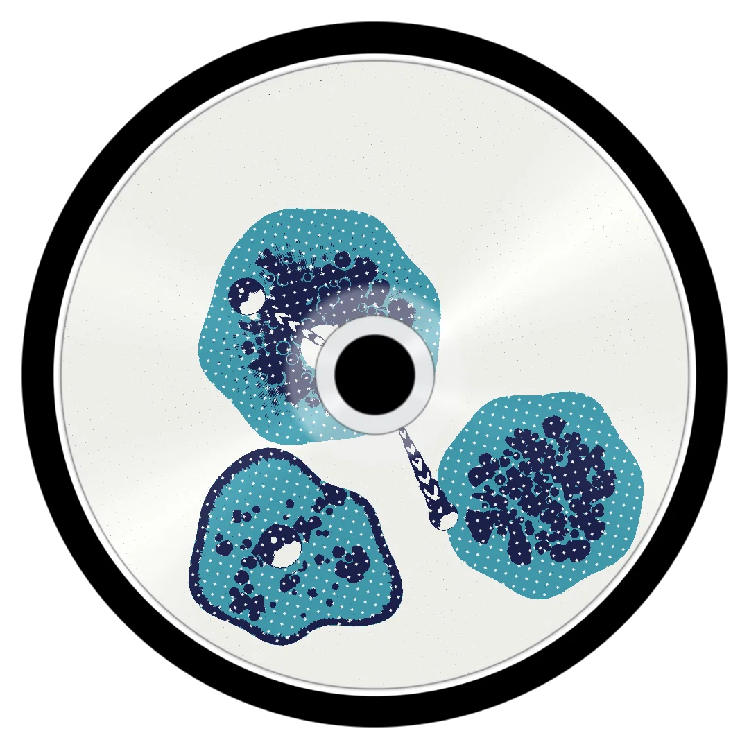 AM cover