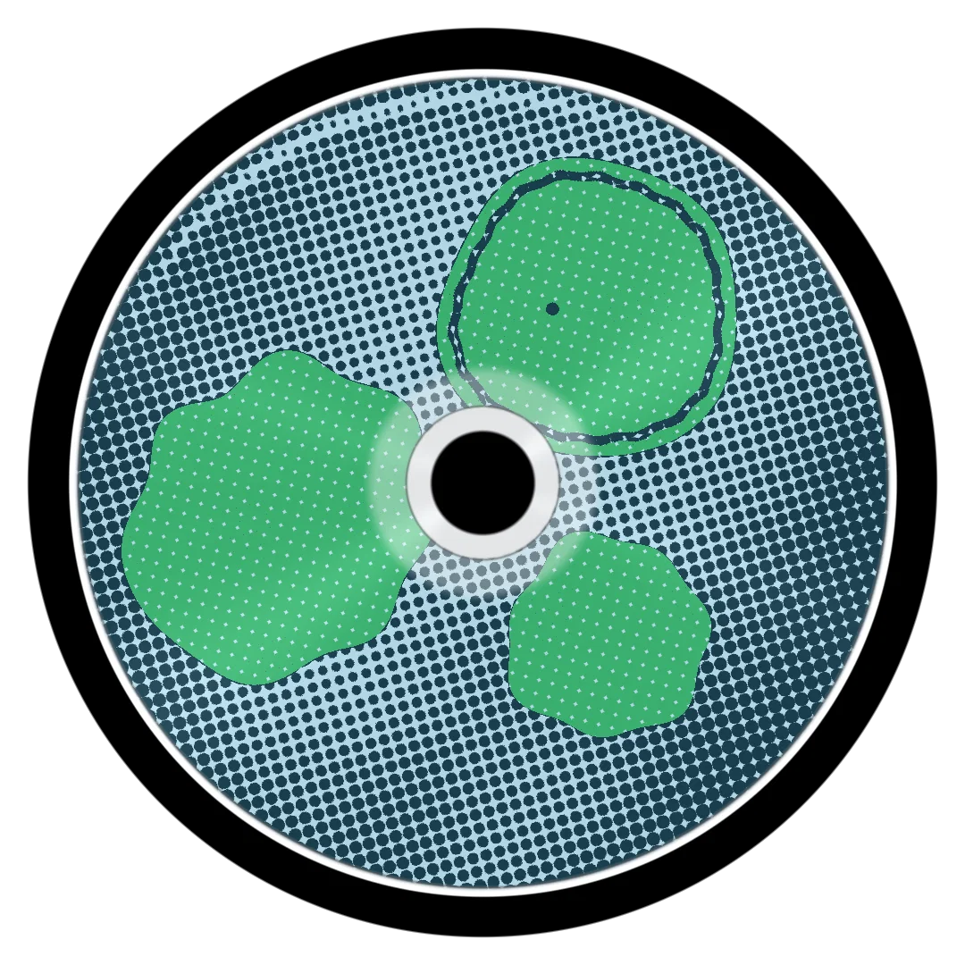 AMBROSIA cover