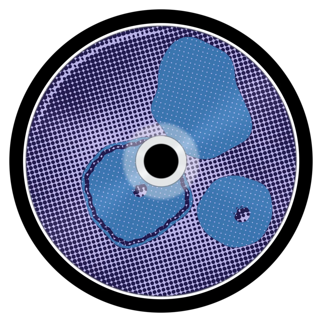 ANCULA cover