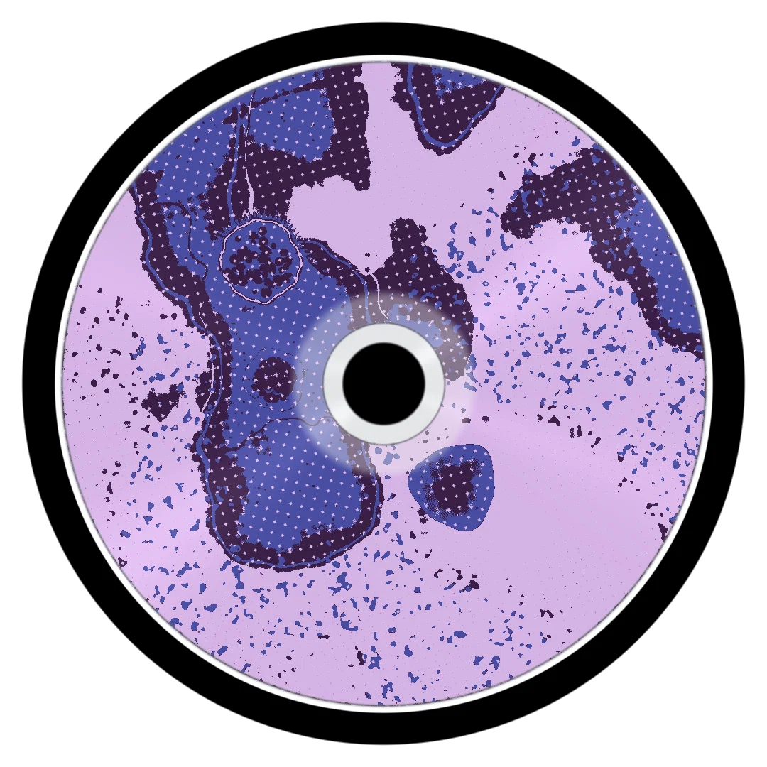 ANOMOLE cover