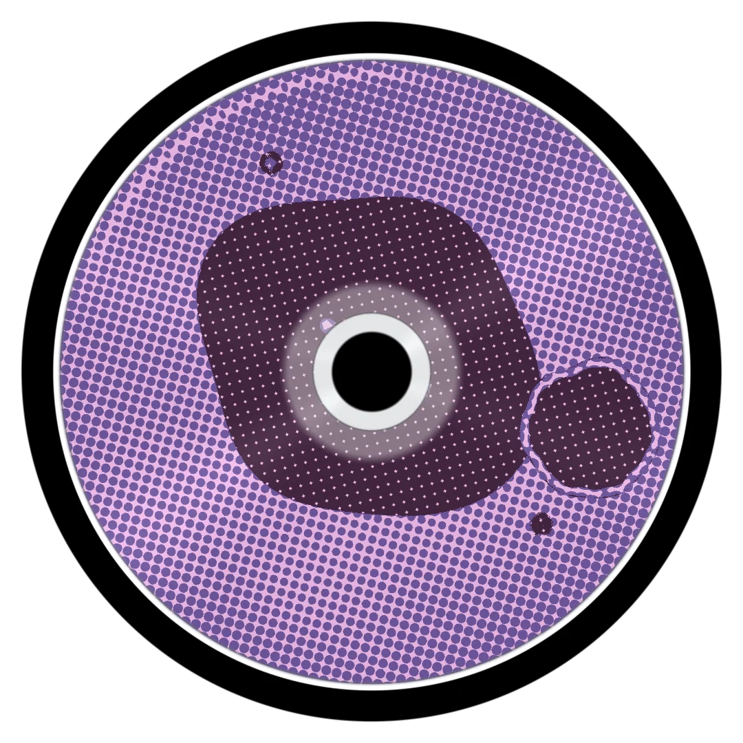 BACK II cover