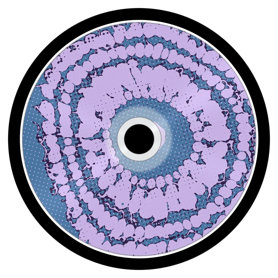 BALANCE cover