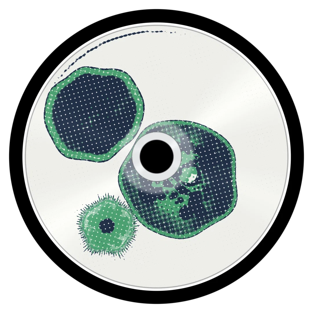 BBL cover