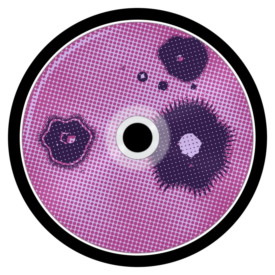 BEND cover
