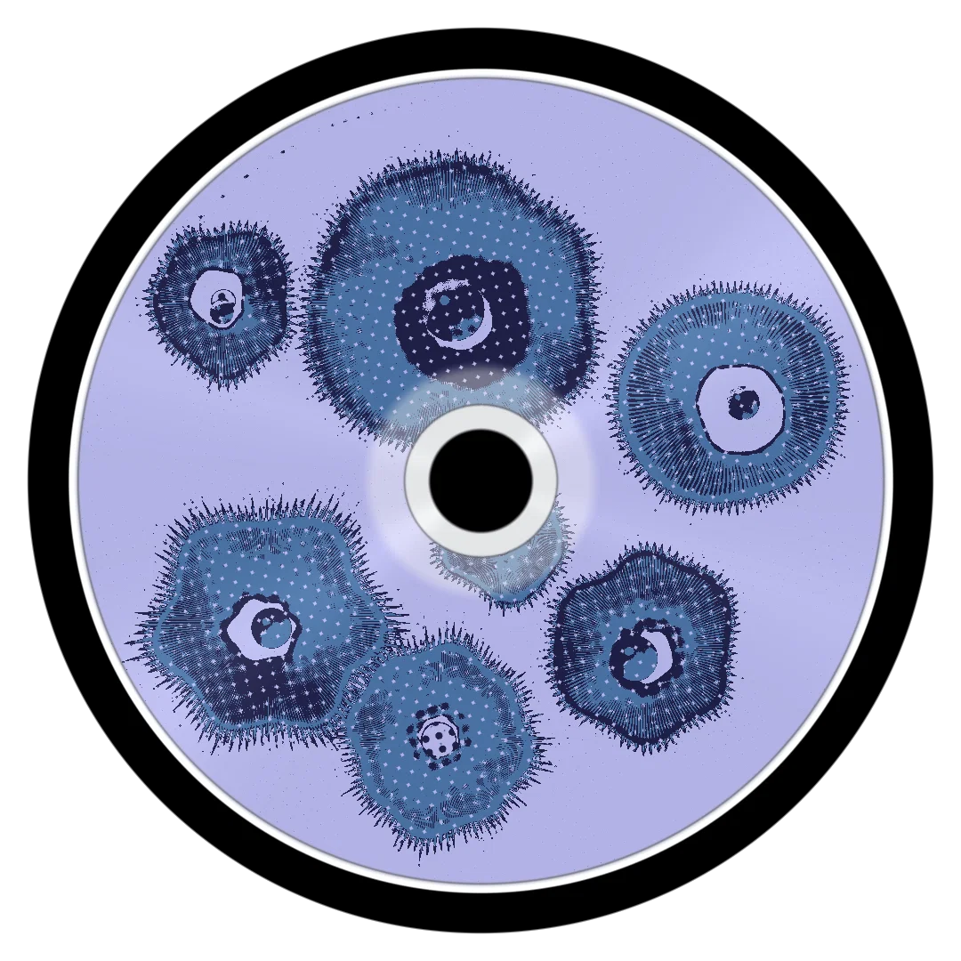 BENO cover