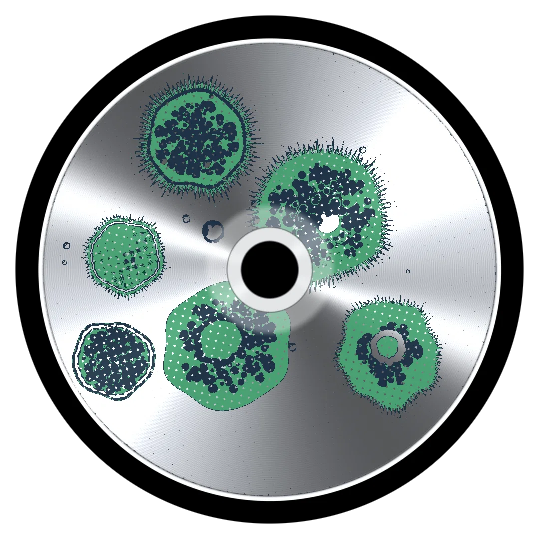 BENTLEY II cover