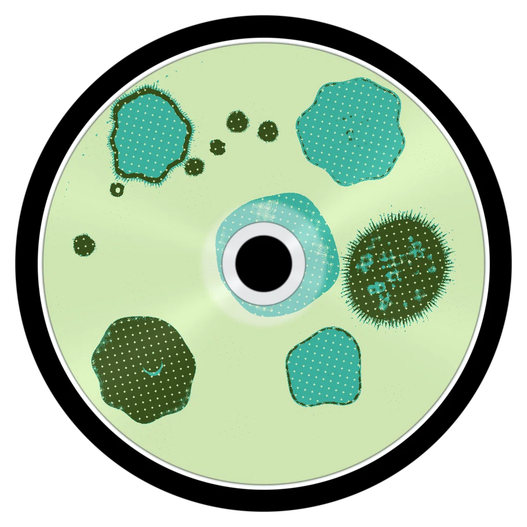 BETAFISH cover