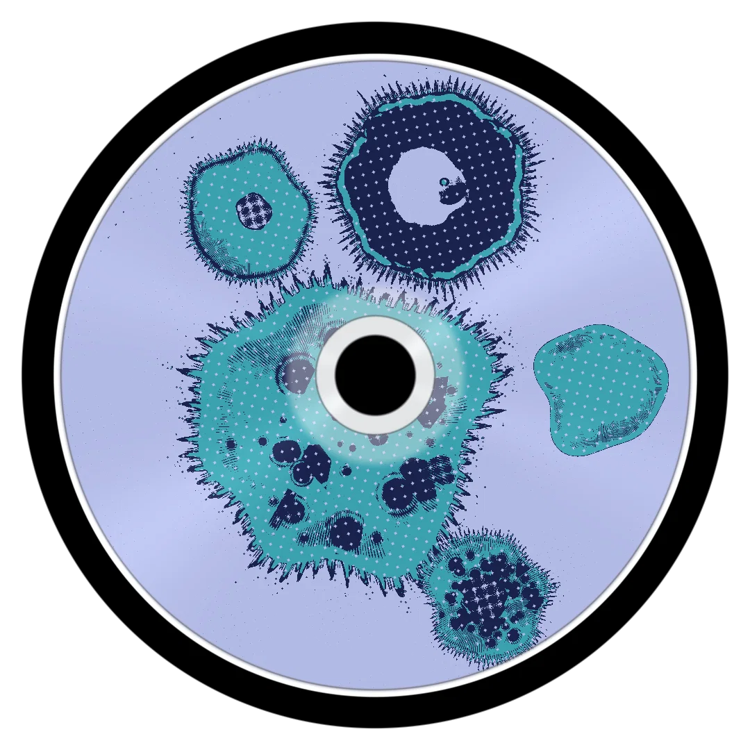 BEVERLY II cover