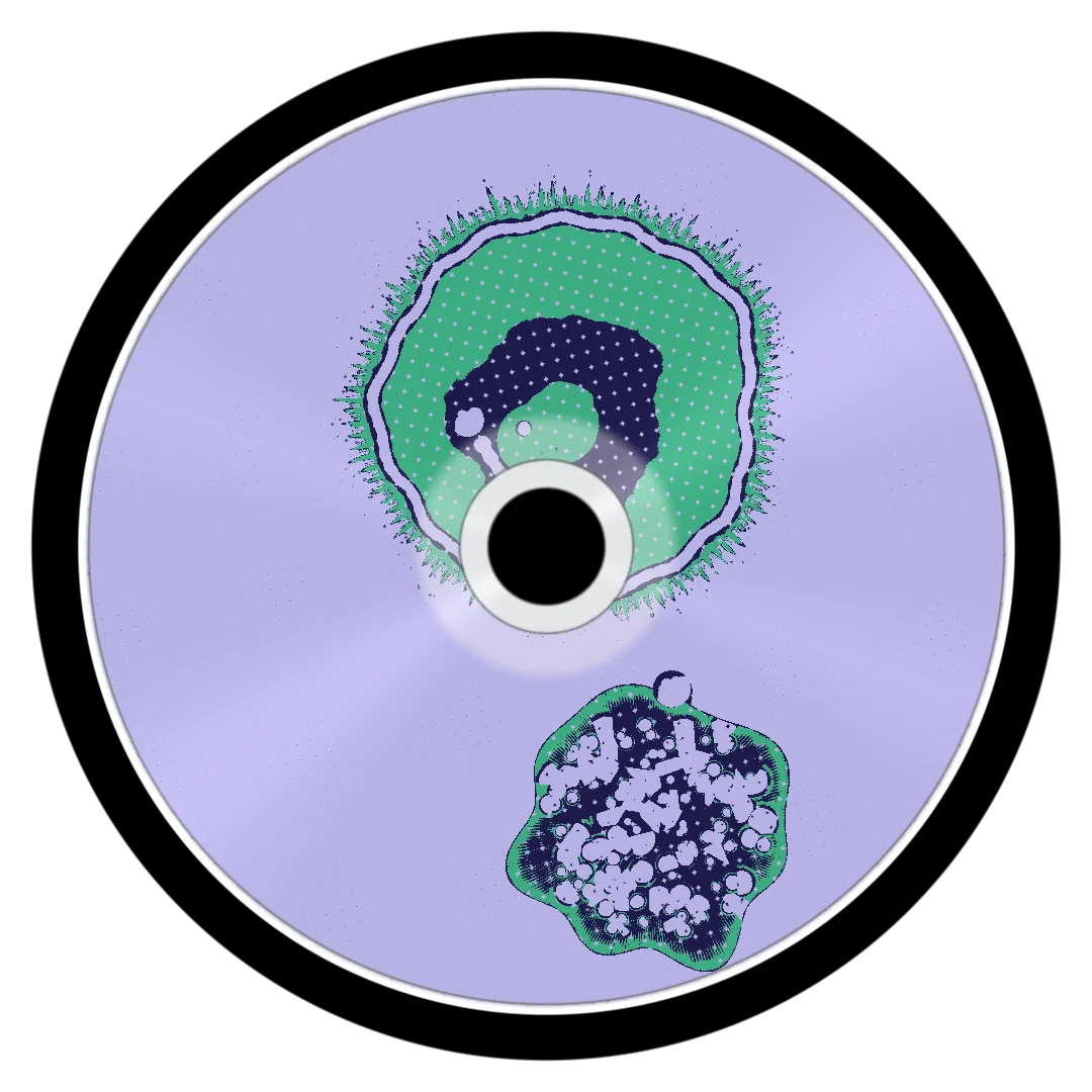 BLEDA cover