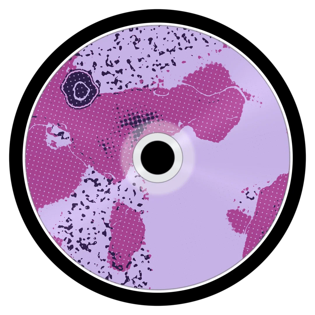 BLINGBLING cover