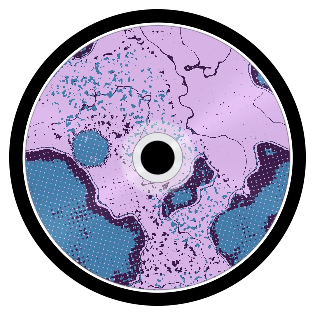 BONES cover