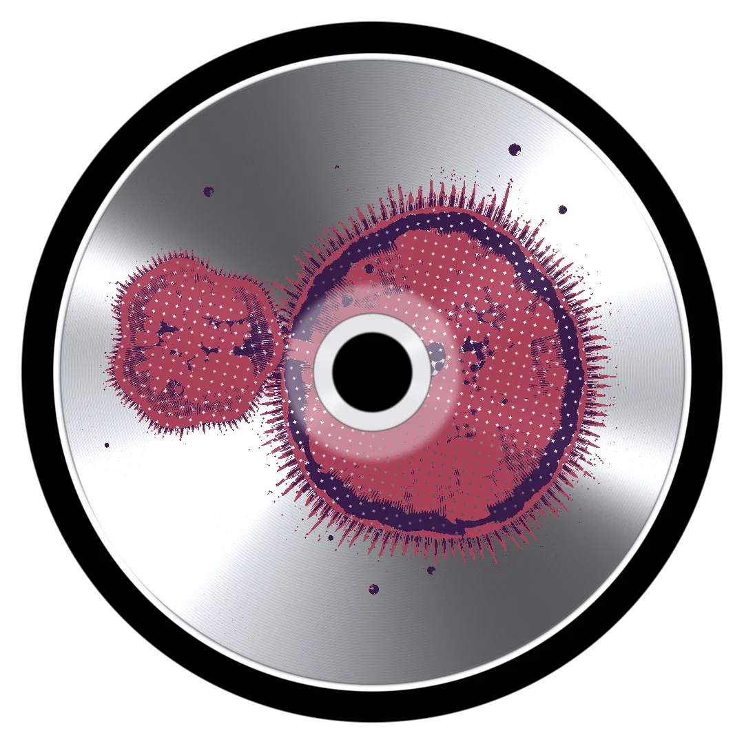 BOTTLENECK cover