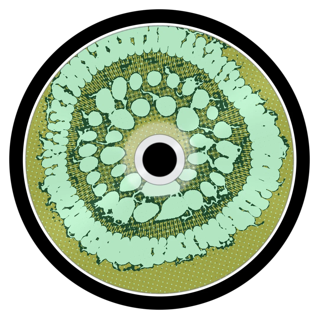 BUFFALO cover