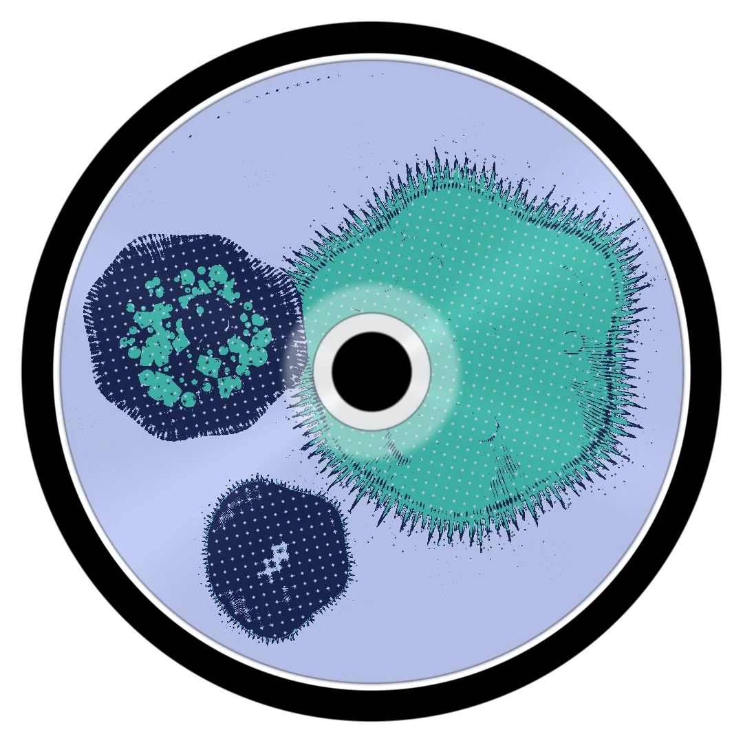 BUMP cover