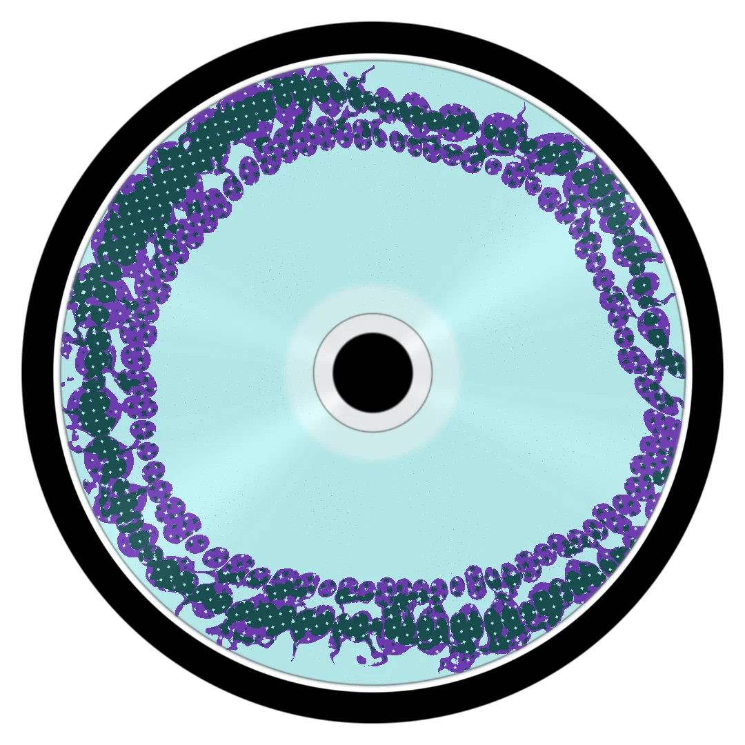 CHARGE cover