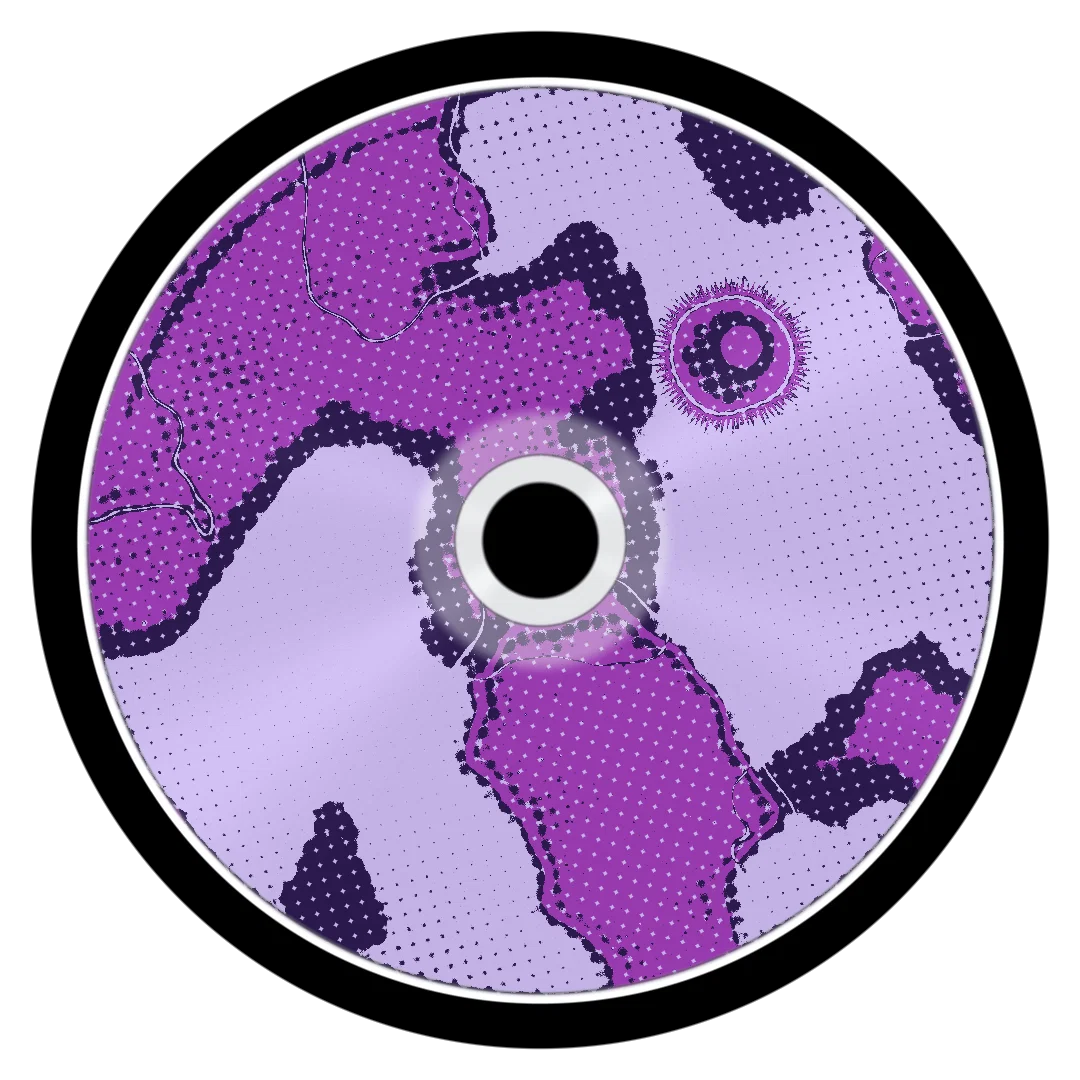 LOANS cover