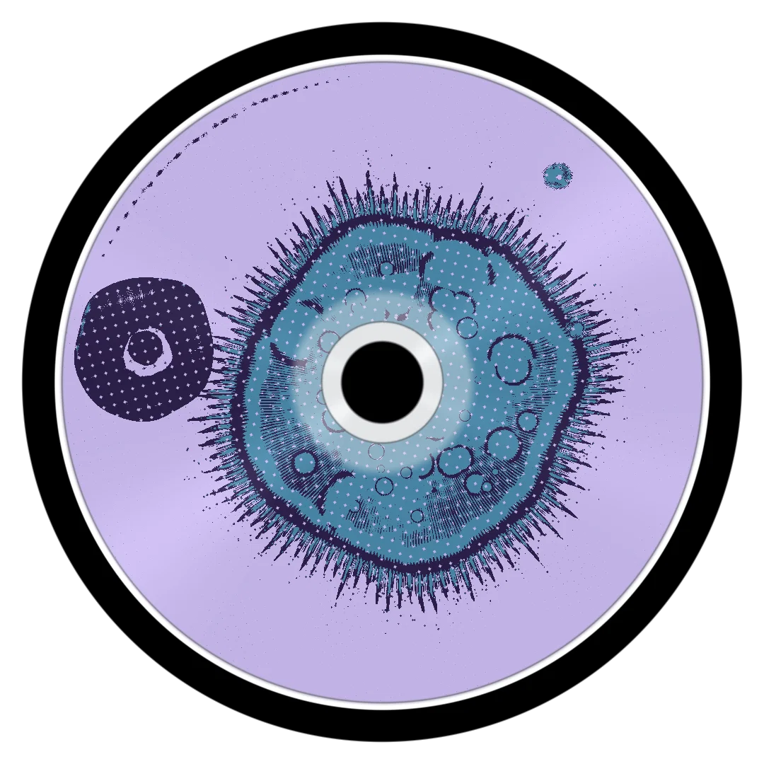 CHASE cover