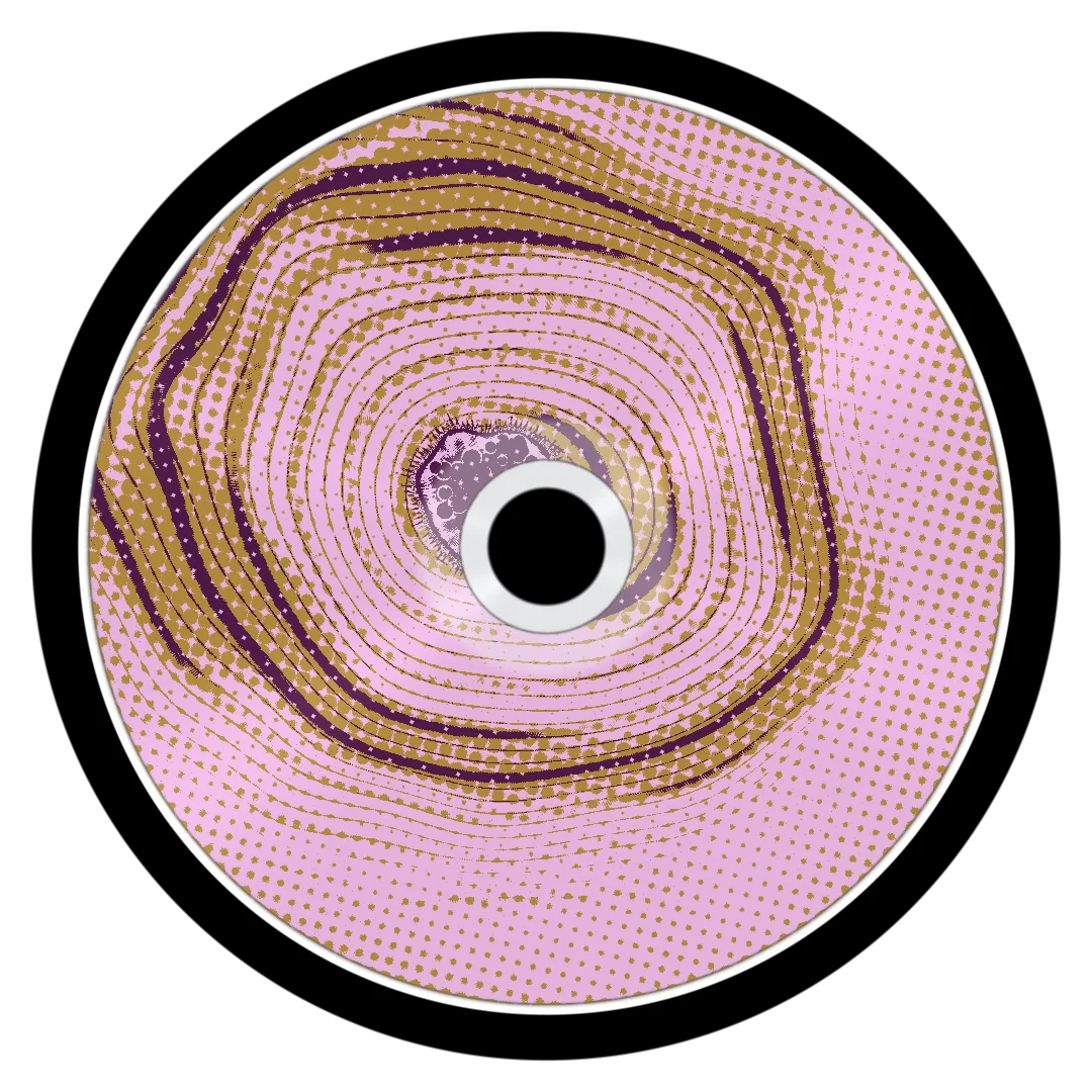 SIDVICIOUS cover