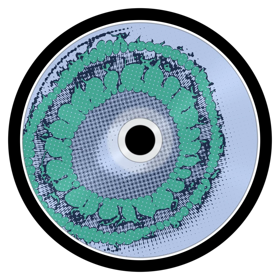 COMPENSATE cover