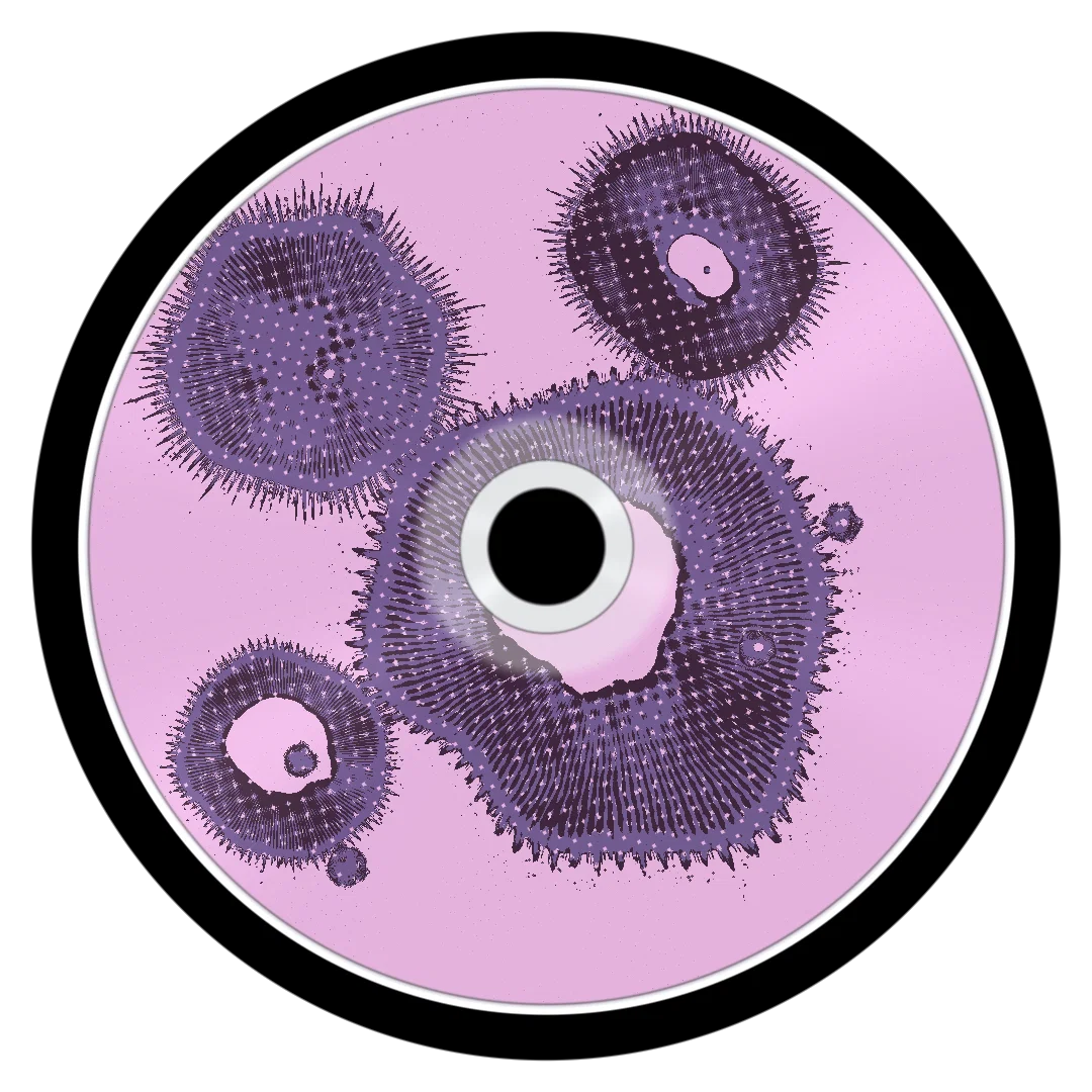 CREW cover