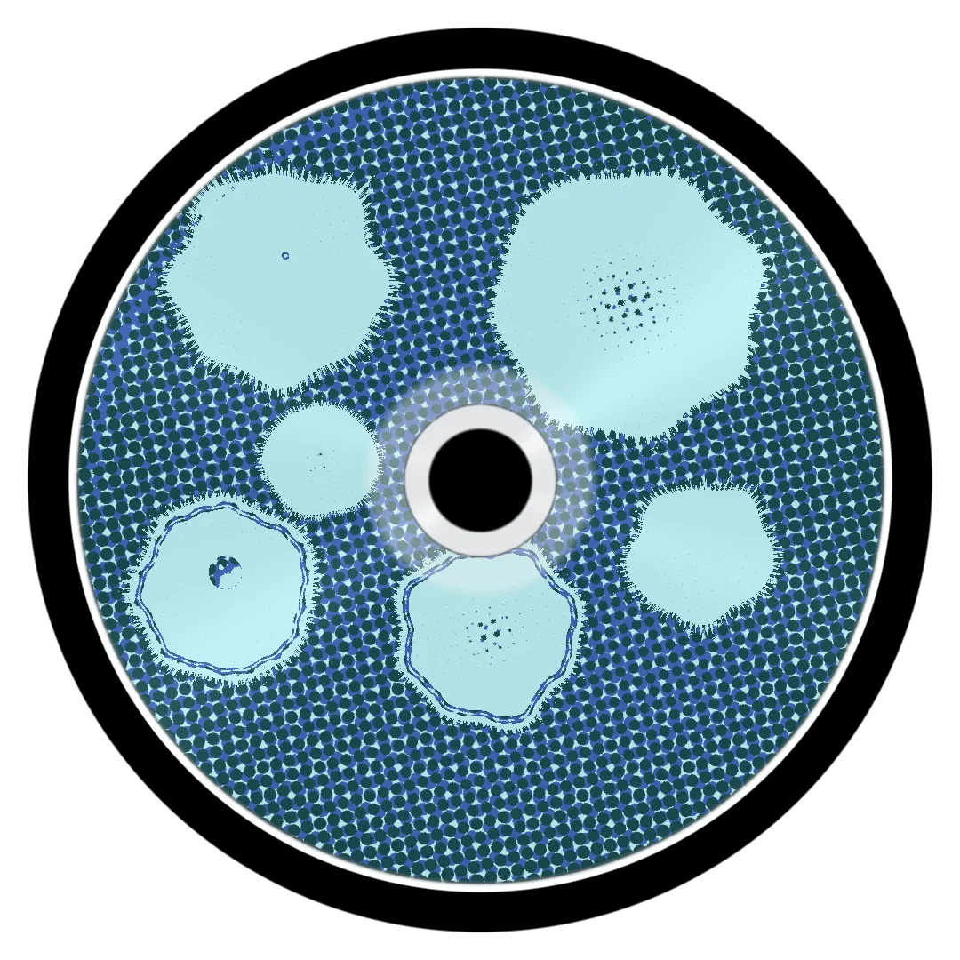 CROWN cover
