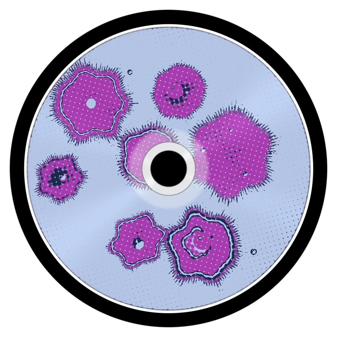 CRUST cover