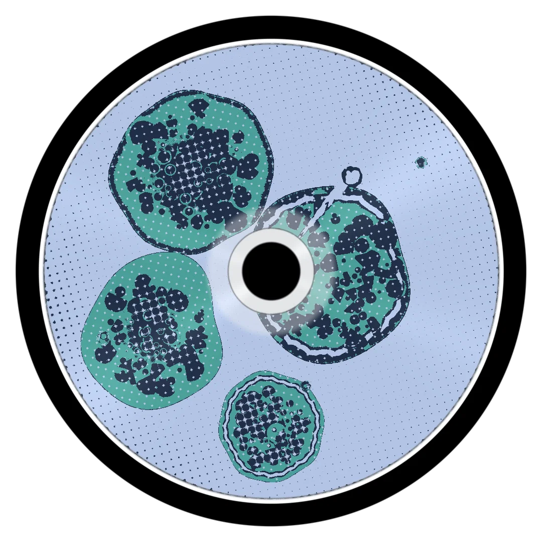 DESTINY cover