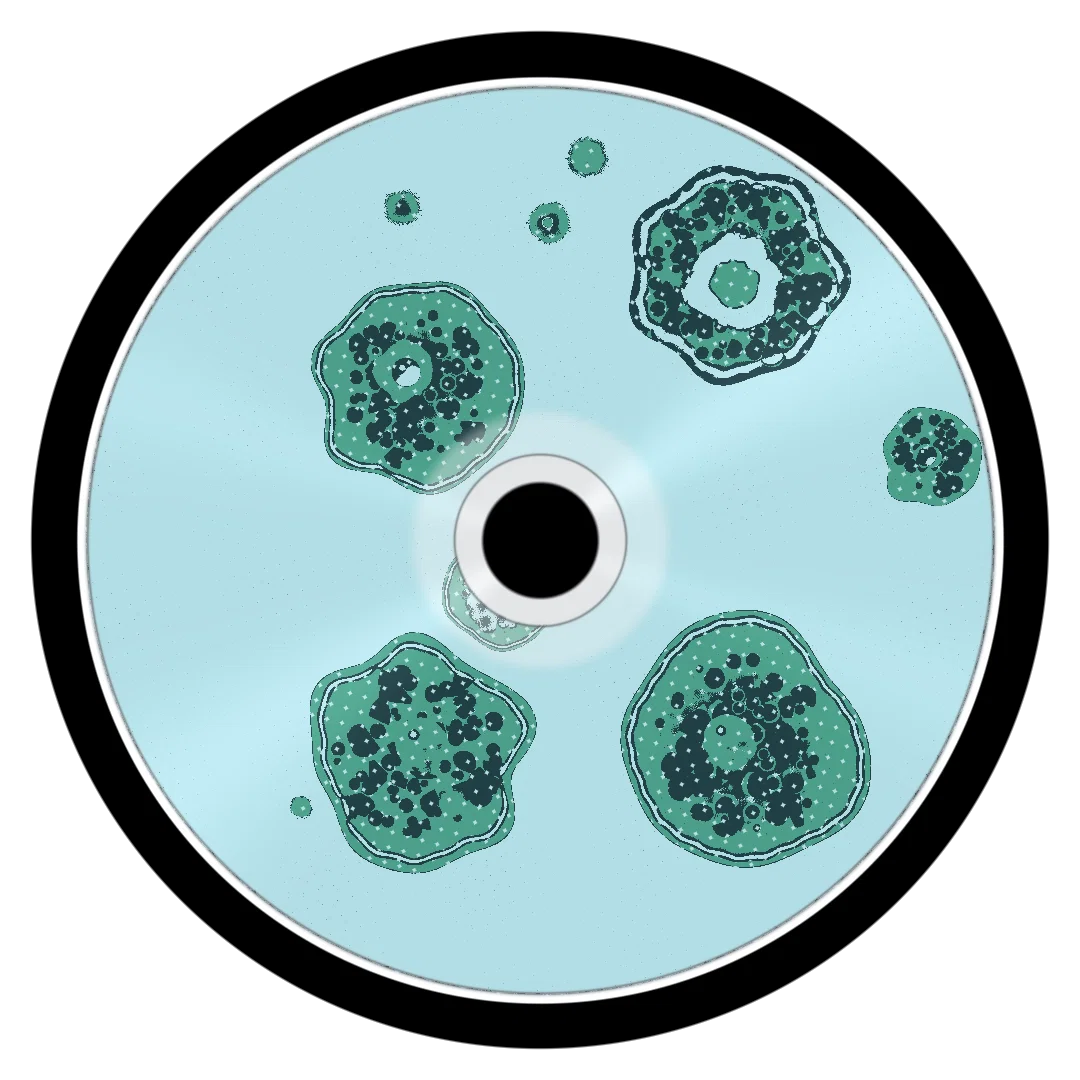 DIBACHI cover