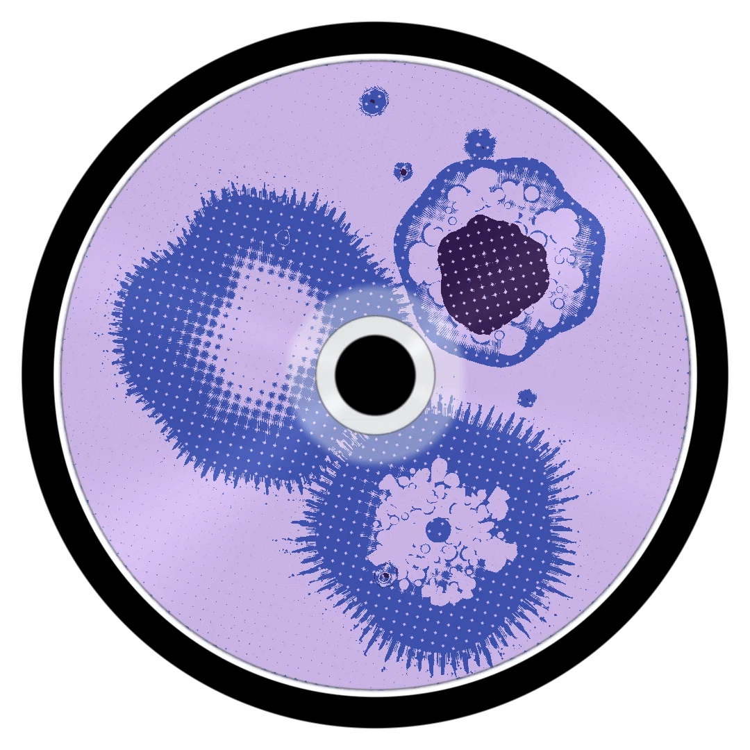 DIGEST cover